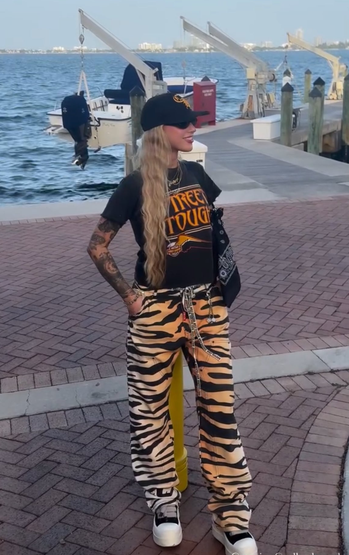 Tiger pants